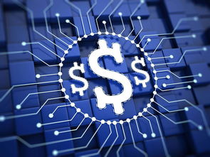 楊望 以數字貨幣破題普惠金融，數字技術服務實體經濟新路徑